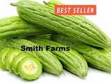 10+ Seeds Bitter Melon Easy to Grow Vegetable Garden Planting Edible Garden Plants