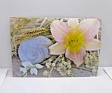 Floral postcard featuring a pink lily flower with wheat stalks and small white blooms