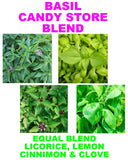 150 BASIL BLEND GOURMET SEEDS FRESH FOR GARDENS US SELLER SHIPS QUICK Garden Plants