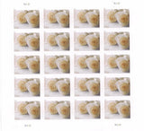 USPS Forever Stamps WEDDING WHITE ROSES 1 Sheet of 20 stamps 2010/2011 Roses