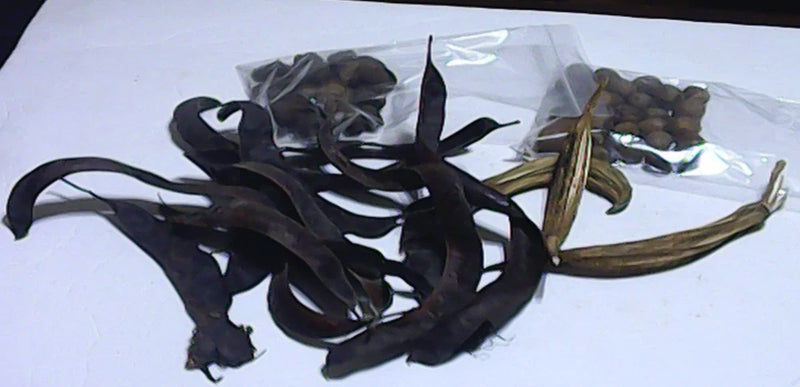 Assorted dried dark flower petals and stems for wreaths and floral arrangements