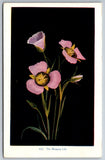 The Mariposa Lily on Black Williamson Haffiner Unused Postcard Lily