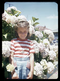 Brunette Girl Hydrangea Flower Fashion 1940s 35mm Slide Red Border Kodachrome Hydrangea