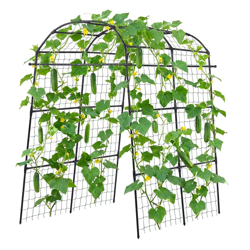 Uimoso Metal Garden Trellis for Cucumber Vines Bean U-Shape 70.87"x44.09"x82.99" Garden Plants