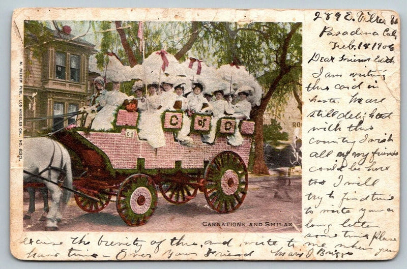 Pasadena  California  Rose Parade  Carnations and Smilax  C of C  Postcard  1905 Carnation