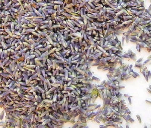 Whole dried lavender buds, purple and gray flower pieces