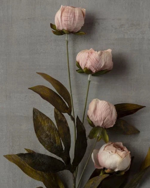 New Set Of 5 Ashland by MichaelÕs 11.5Ó Tan Peony Stems Peony