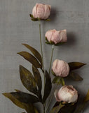 New Set Of 5 Ashland by MichaelÕs 11.5Ó Tan Peony Stems Peony