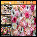 50 Premium Pastel Ranunculus & Anemone Bulbs - Easy Grow Perennials for Garden Ranunculus
