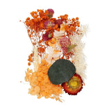 NaturalÊDriedÊFlowerÊSet,ÊDriedÊPressedÊFlowers (Orange) Dried Flower
