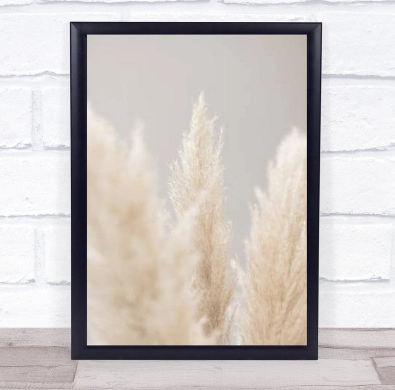 Pampas Grass Grey 04 Botanical Studio Wall Art Print Pampas Grass