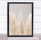 Pampas Grass Grey 04 Botanical Studio Wall Art Print Pampas Grass