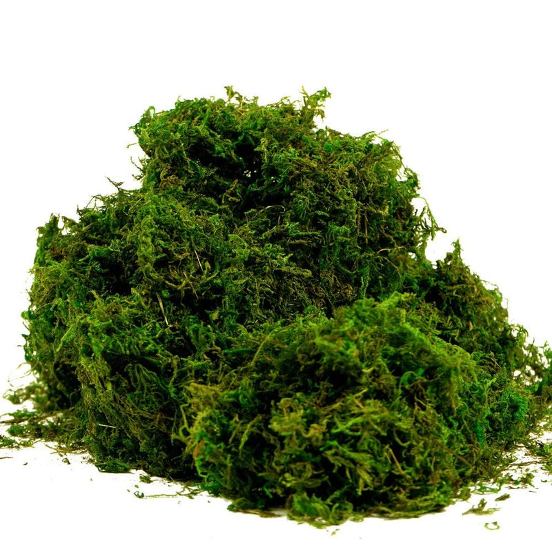 Artificial Moss Fake Green Grass for Centerpieces Home Kitchen Garden Decor (... Green Plant