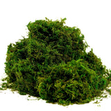 Artificial Moss Fake Green Grass for Centerpieces Home Kitchen Garden Decor (... Green Plant