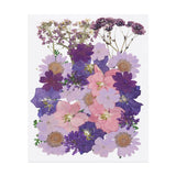 34 Pcs Dried Pressed Flower Leaves Bulk for Resin, Purple Flower Field Dried Flower