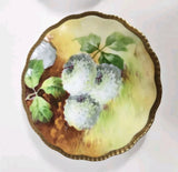 Rare Antique Avenir Limoges Hand Painted Hydrangea Signed Duval France 6" Plate Hydrangea
