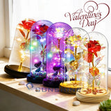 Valentines Rose Gift for Her Women Girlfriend Wife Mother's Birthday Presents Roses