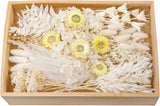 Natural Dried Flower Set, Bulk Dried Flowers with Stems, Dried Daisies, Dried Ra Dried Flower