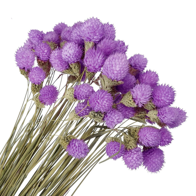 60 Pcs 16 Inch Dried Flowers for Vase Mini Pine Ball Flowers Purple Dried Flower