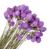60 Pcs 16 Inch Dried Flowers for Vase Mini Pine Ball Flowers Purple Dried Flower