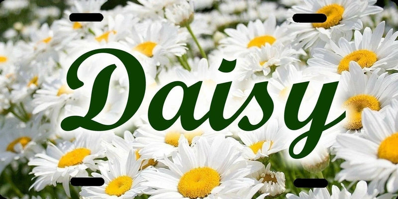 Personalized Custom Daisy Daisies Flower License Plate Name Initials Phrase etc. Daisies