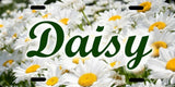 Personalized Custom Daisy Daisies Flower License Plate Name Initials Phrase etc. Daisies