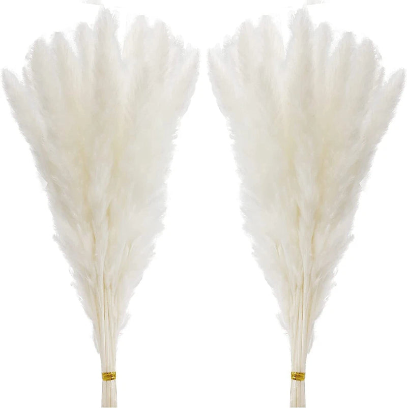 60 Pcs White Pampas Grass 17 inch/45 cm Natural Dried Pampas Grass Branches D... Pampas Grass