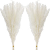 60 Pcs White Pampas Grass 17 inch/45 cm Natural Dried Pampas Grass Branches D... Pampas Grass