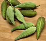 5 MilkWeed Seed Pods W/ Seeds ~ Arts & Crafts~Floral Arrangements~Pesticide Free Dried Flower