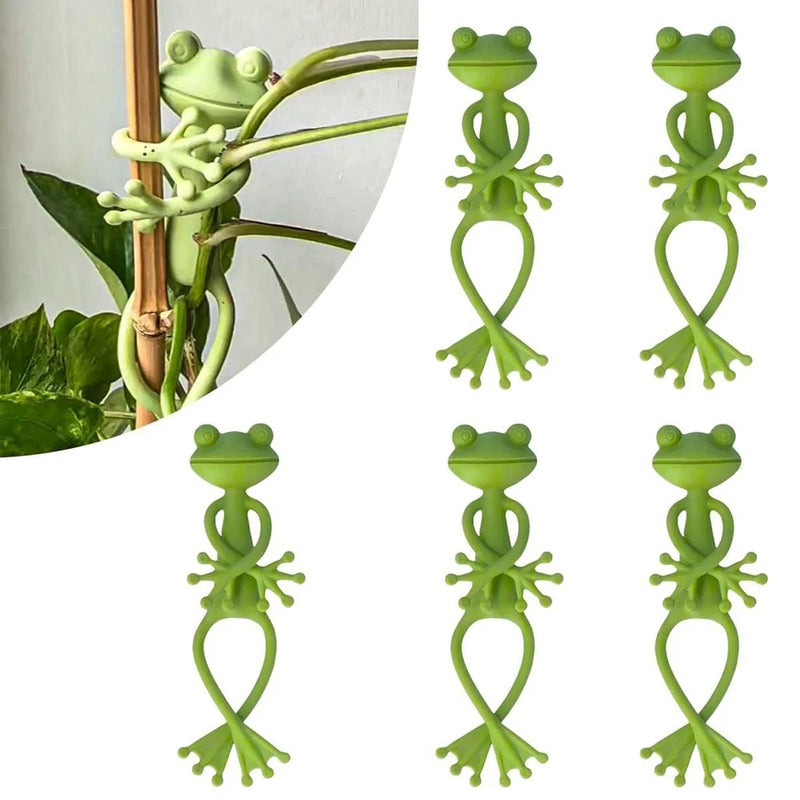 10 pieces of flower frog plant rack climbing vine plant fixed rack hot selling- Flowering Plants