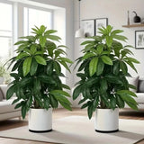 NEW Realistic Large Green Life Like Money Tree Plant Green Plant