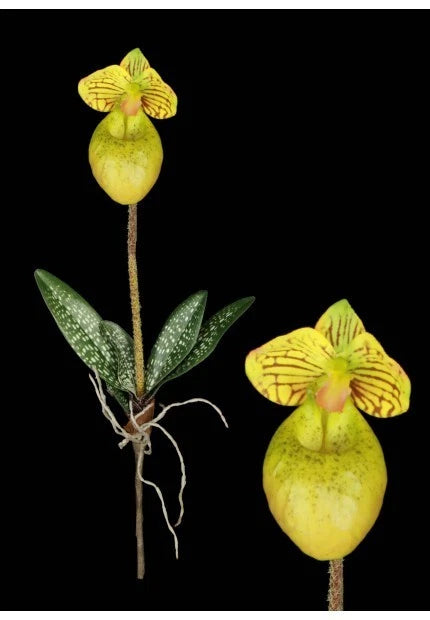 Mini Artificial Paphiopedilum Lady Slipper Orchid YELLOW GREEN Flowering Plants