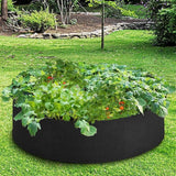 50/100 Gallon Garden Raised Fabric Bed Planting Bag Flower Plant Vegetable Grow Garden Plants