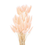 60pcs Natural Bunny Tails Dried Flowers 22" Mini Pampas Grass, Light Pink Dried Flower