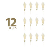 12 Pcs 33'' Single Pampas Grass Plume Stem Artificial Pampas Grass Home Decor Pampas Grass