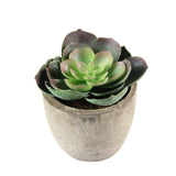 Faux Succulent Artificial Succulent Fake Simulation Plants with Gray Decorative Green Plant