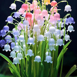 100 Flower seeds Lily of the Valley seeds Plant seeds Garden Plant seeds Lily