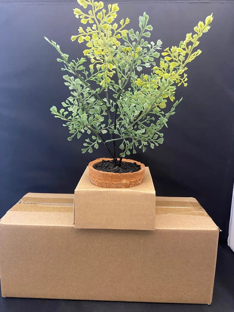 NEW Pottery Barn Faux Southern Mini Maiden Hair Fern in Terra Cotta Potted NWT Green Plant