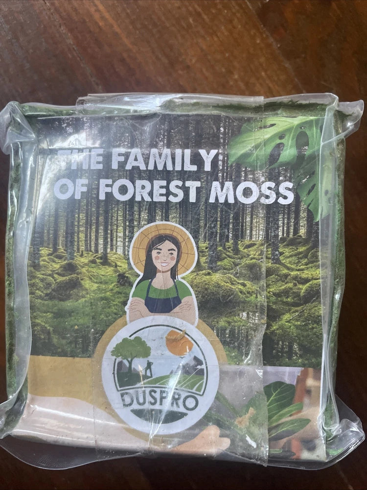 Dried moss for potted plants in a sealed clear plastic bag, forest green design