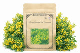100+ Siberian Pea Tree Seeds for Planting Ð Caragana Arborescens Hardy Yellow Fl Flowering Plants