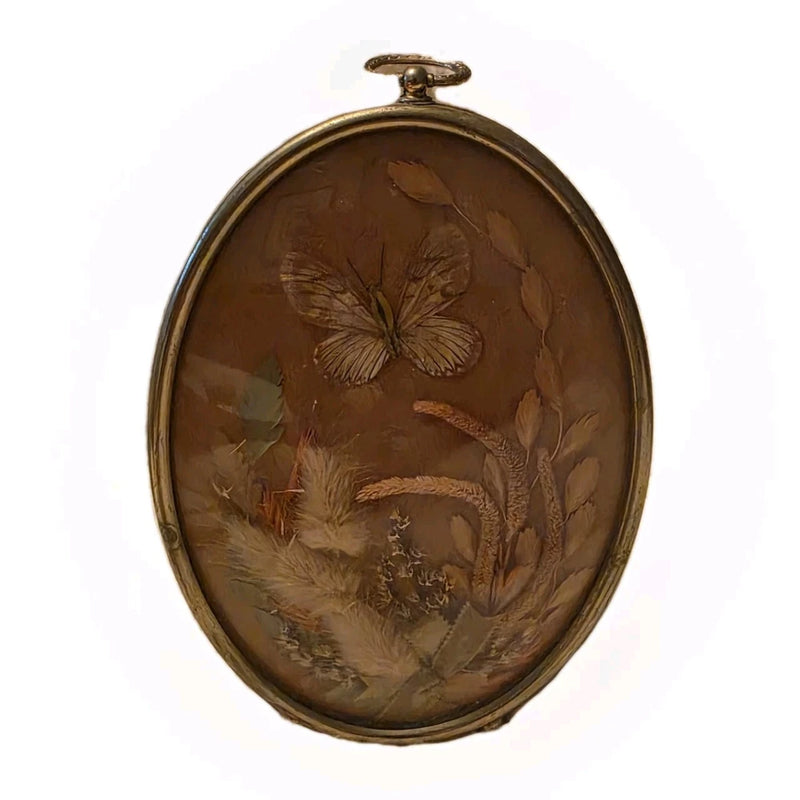 Oval concave brass frame with pressed dried flowers and butterfly inset