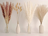 65PCS Natural Dried Pampas Grass Bouquet with Bunny Tails for Boho Decor Pampas Grass