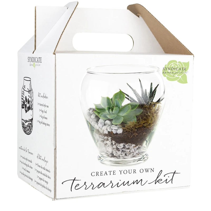Glass terrarium kit with clear jar, small succulent and moss inside, in gift box