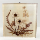 Dried Flowers From The German Bavarian Alps Handmade Acrylglas 4.5Ó Wall Decor Dried Flower