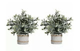HC STAR 2 Pcs Artificial Plants Small Potted Plastic Fake Plants Green Rosemary Green Plant