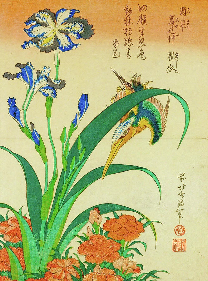 Katsushika Hokusai Kingfisher Carnation Iris 1834 17"x 22" Archival Art Print Carnation