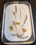 Dried Flowers from Israel hanging Dried Flower