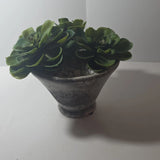 Artificial Succulent Arrangement in Stone Pot, 7" x 10", Green Gray Plastic Green Plant