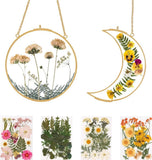 Double Glass Frame for Pressed Flowers - w/Real Dried Flowers and Tweezer Dried Flower