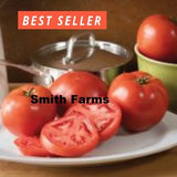 50+ Seeds Big Beef Plus Tomato Juicy Easy to Grow Vegetable Garden Planting Garden Plants